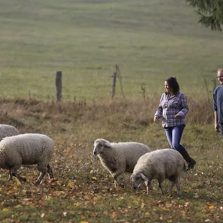 Restaurant Lindenhof ホテル 3*