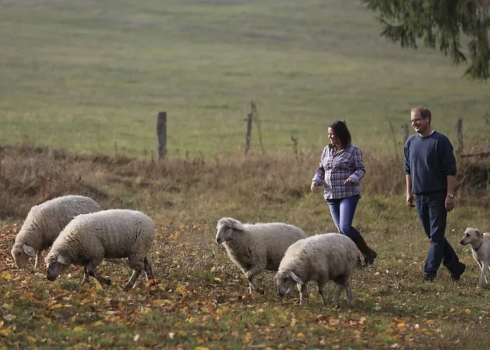 Restaurant Lindenhof Hotel 3*